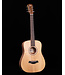 Taylor BT1 Baby with Gigbag