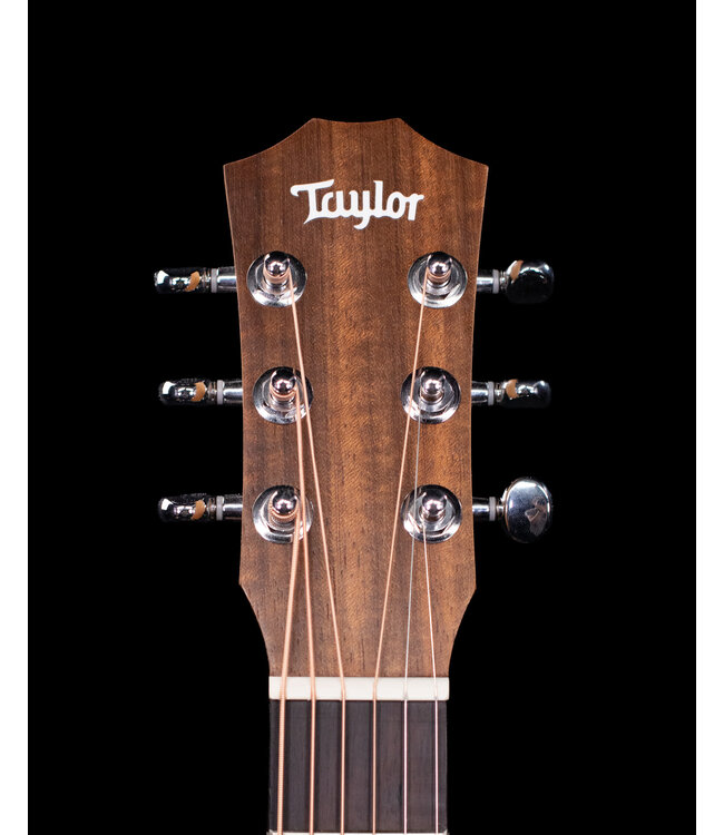 Taylor BT1 Baby with Gigbag