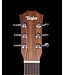 Taylor BT1 Baby with Gigbag