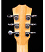 Taylor BT1 Baby with Gigbag