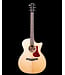 Eastman AC222CE Acoustic/Electric with Bag, Natural