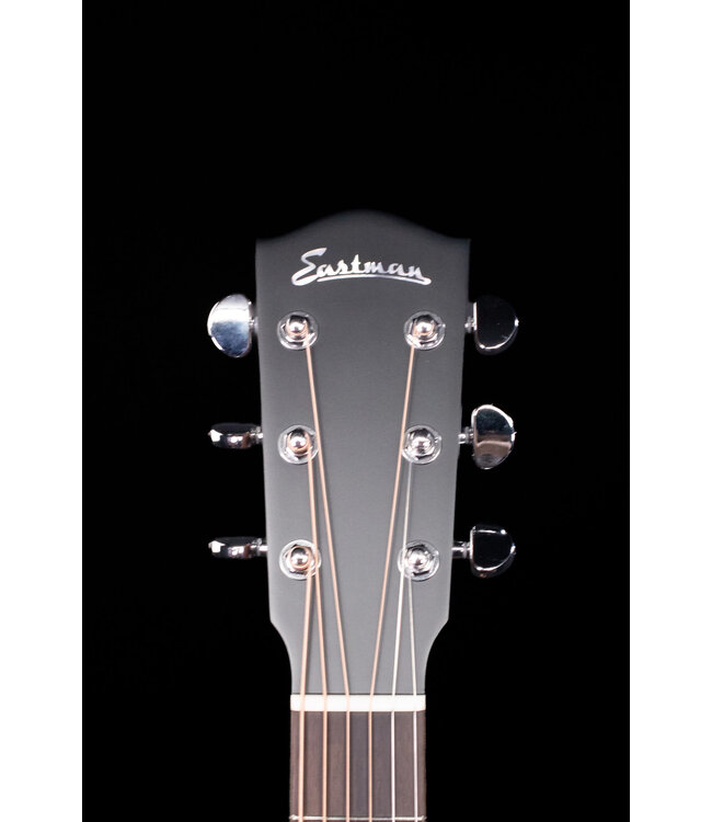 Eastman AC222CE Acoustic/Electric with Bag, Natural