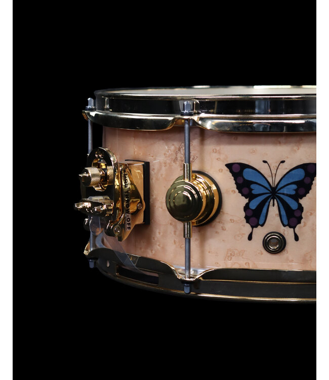 DW Sheila E. Icon Snare Drum, 13" x 5.5" Gold Hardware