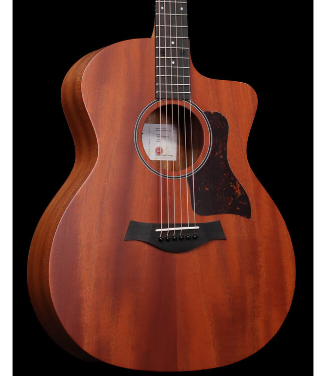 Taylor 24ce Acoustic Electric, Sapele/Mahogany