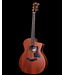Taylor 24ce Acoustic Electric, Sapele/Mahogany