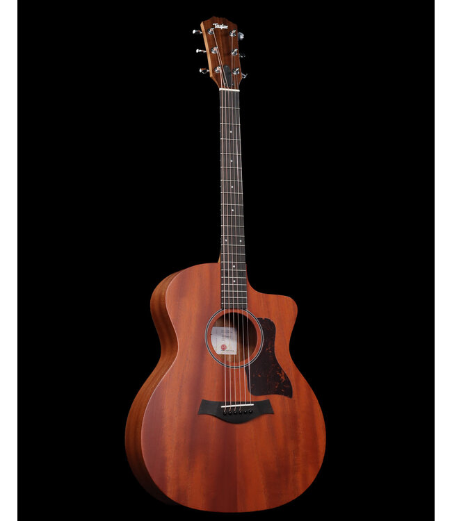 Taylor 24ce Acoustic Electric, Sapele/Mahogany