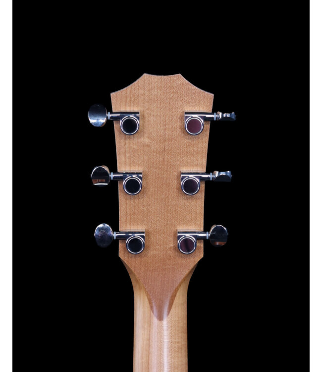 Taylor 24ce Acoustic Electric, Sapele/Mahogany