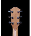 Taylor 24ce Acoustic Electric, Sapele/Mahogany