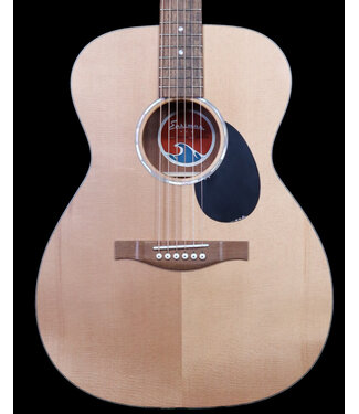 Eastman Eastman PCH1-OM Classic with Bag