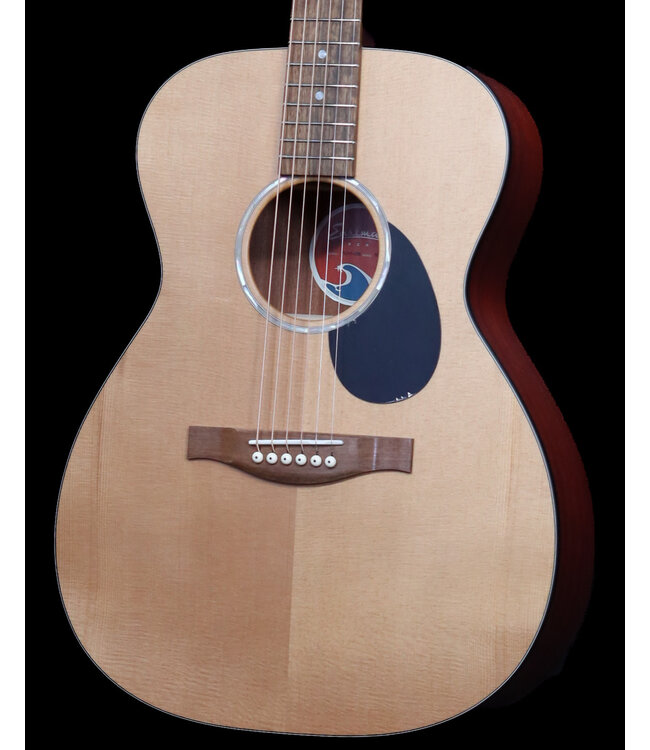 Eastman PCH1-OM Classic with Bag