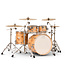 DW Design Series 4 Piece Limited Edition Shell Pack, Mapa Matte Birch