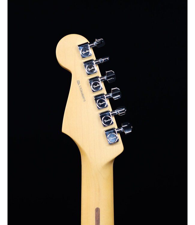 Fender American Professional Stratocaster, Maple FB, Dark Night - Blem