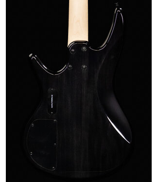 Ibanez Ibanez GSR200SM 4-String Bass, Spalted Natural Grey Burst