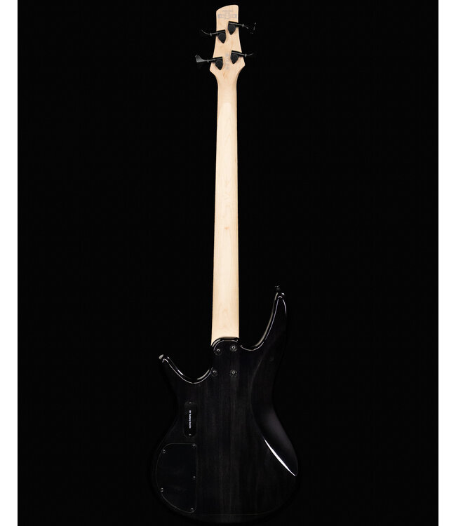 Ibanez GSR200SM 4-String Bass, Spalted Natural Grey Burst