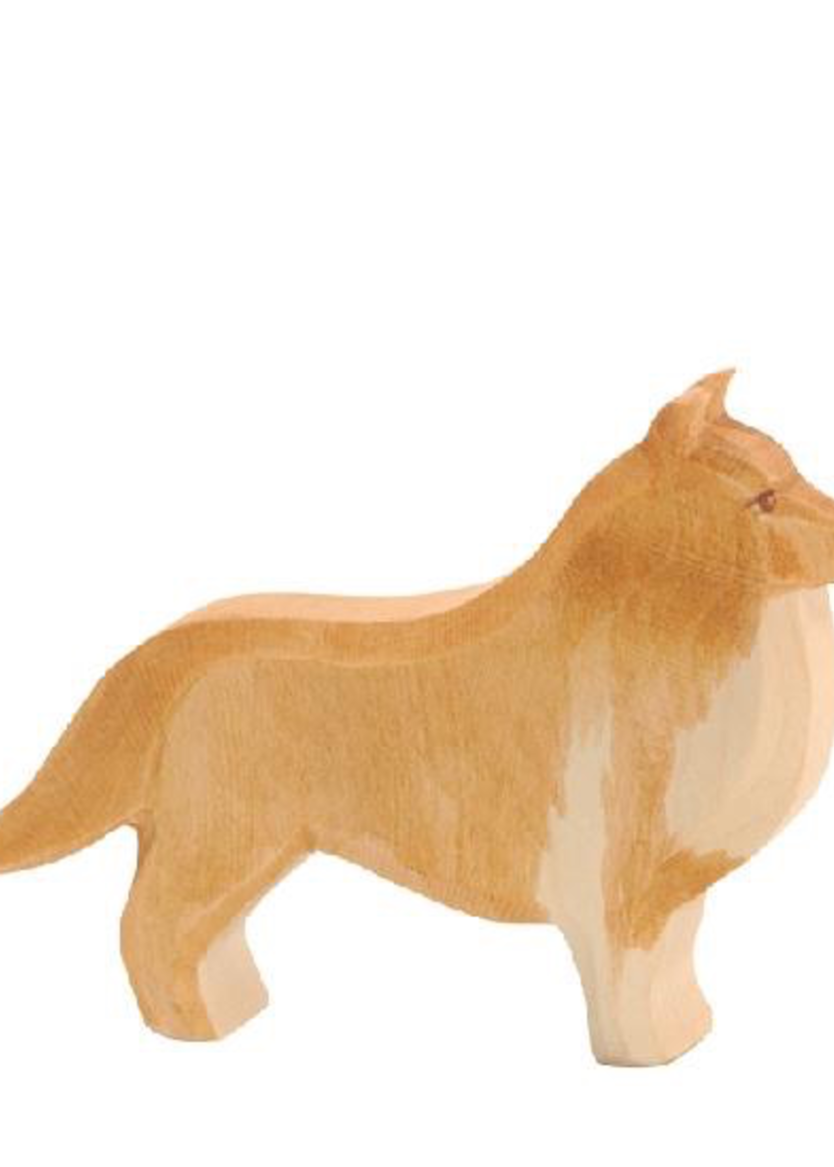 Ostheimer Dog - Collie