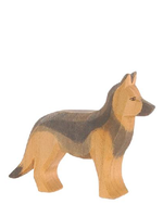 Ostheimer German Shepherd