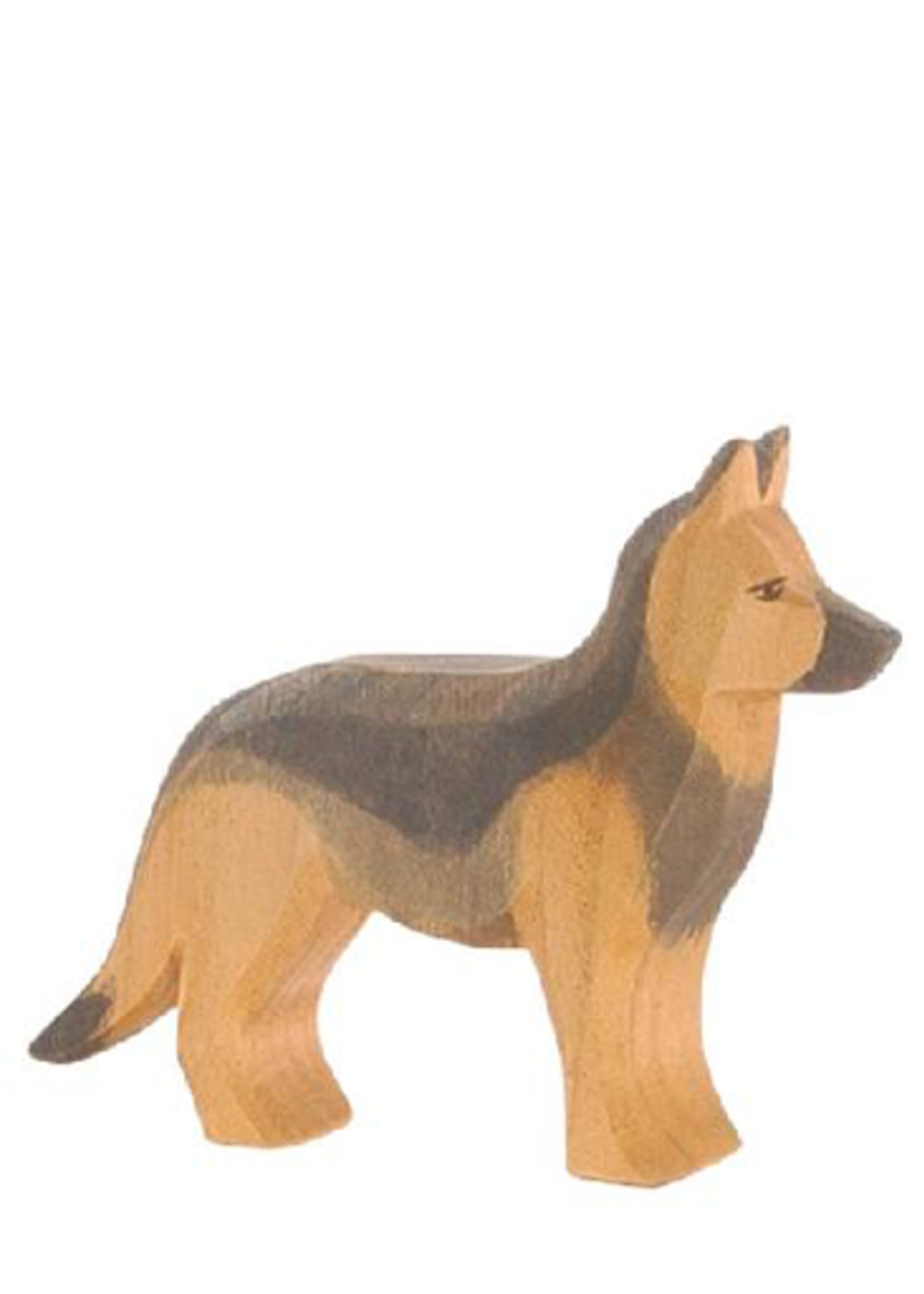 Ostheimer German Shepherd