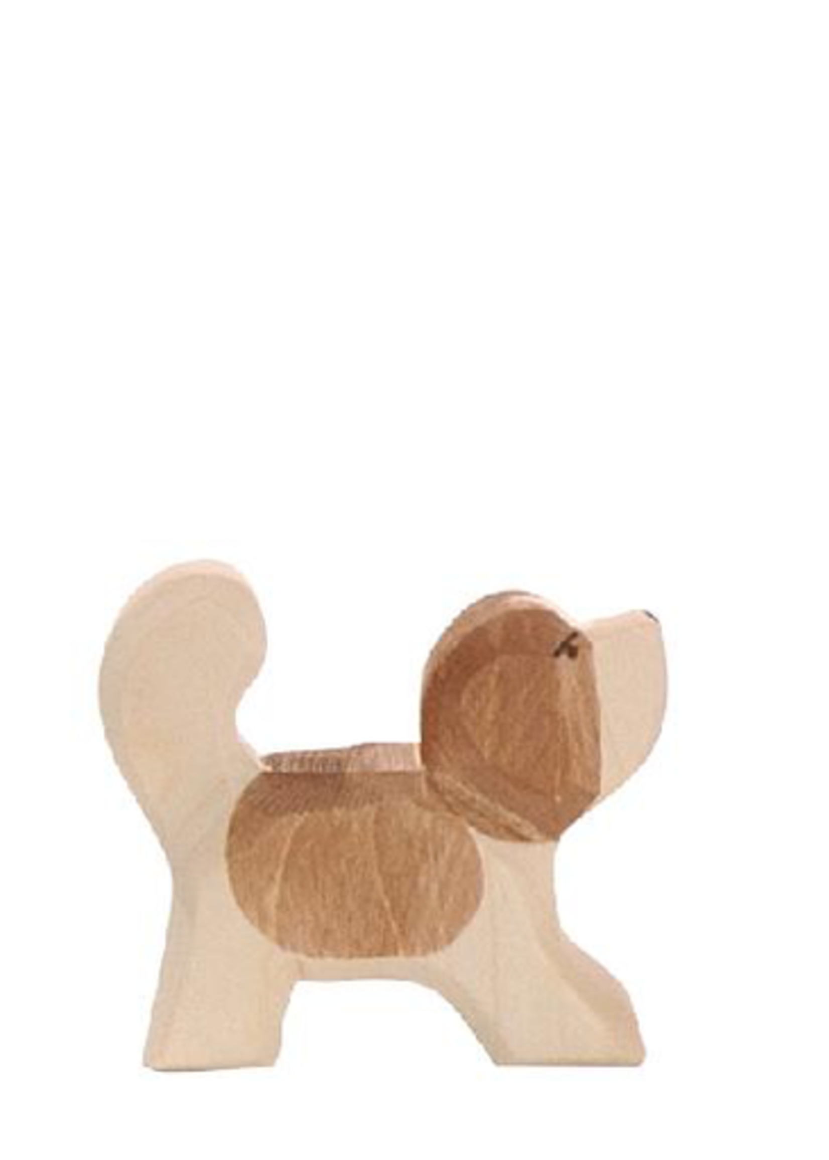 Ostheimer St. Bernard Dog small head high