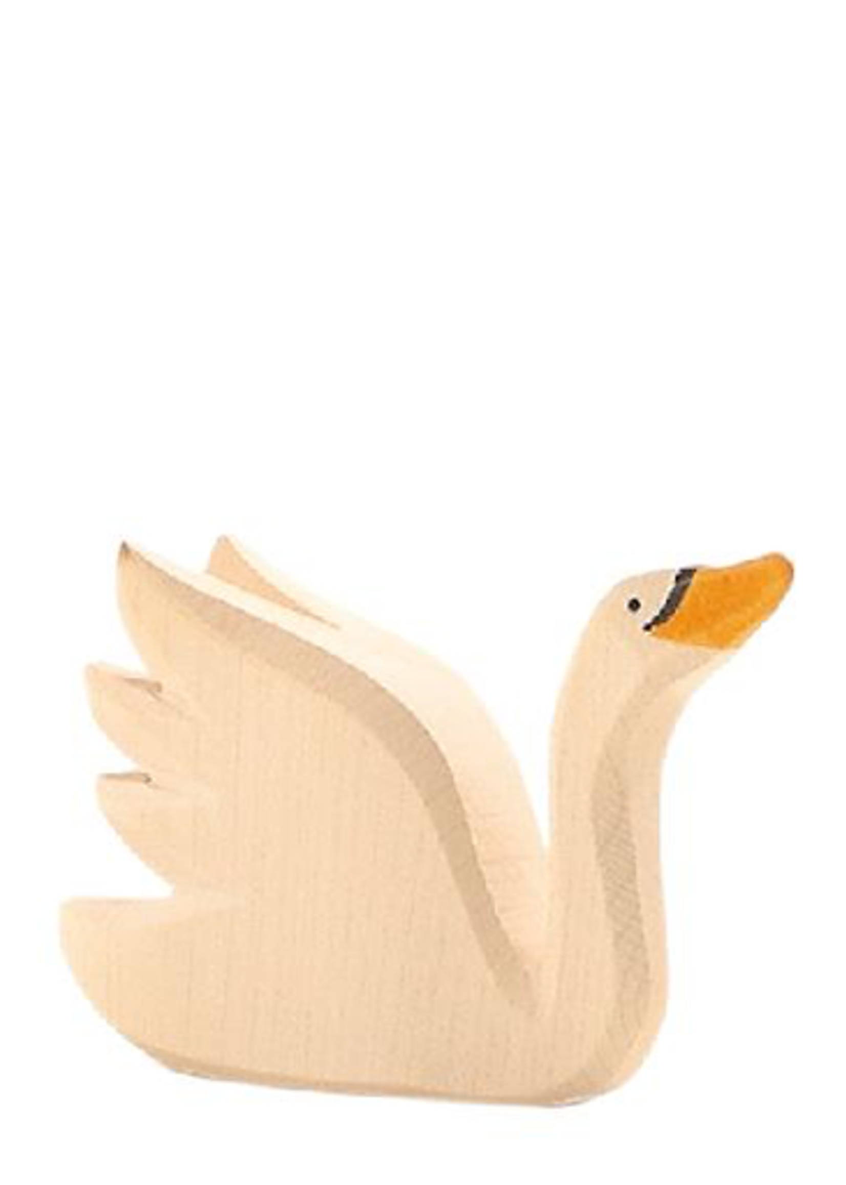 Ostheimer Swan head high