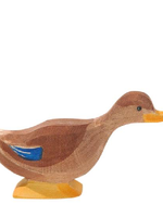 Ostheimer Duck long neck