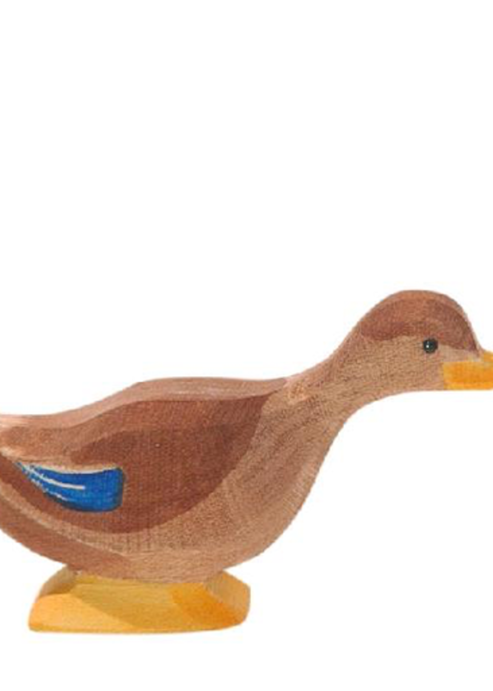 Ostheimer Duck long neck