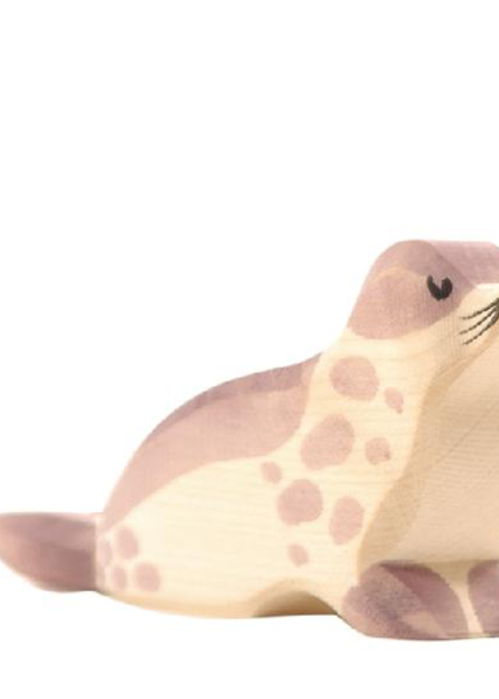 Ostheimer Sea Lion head low
