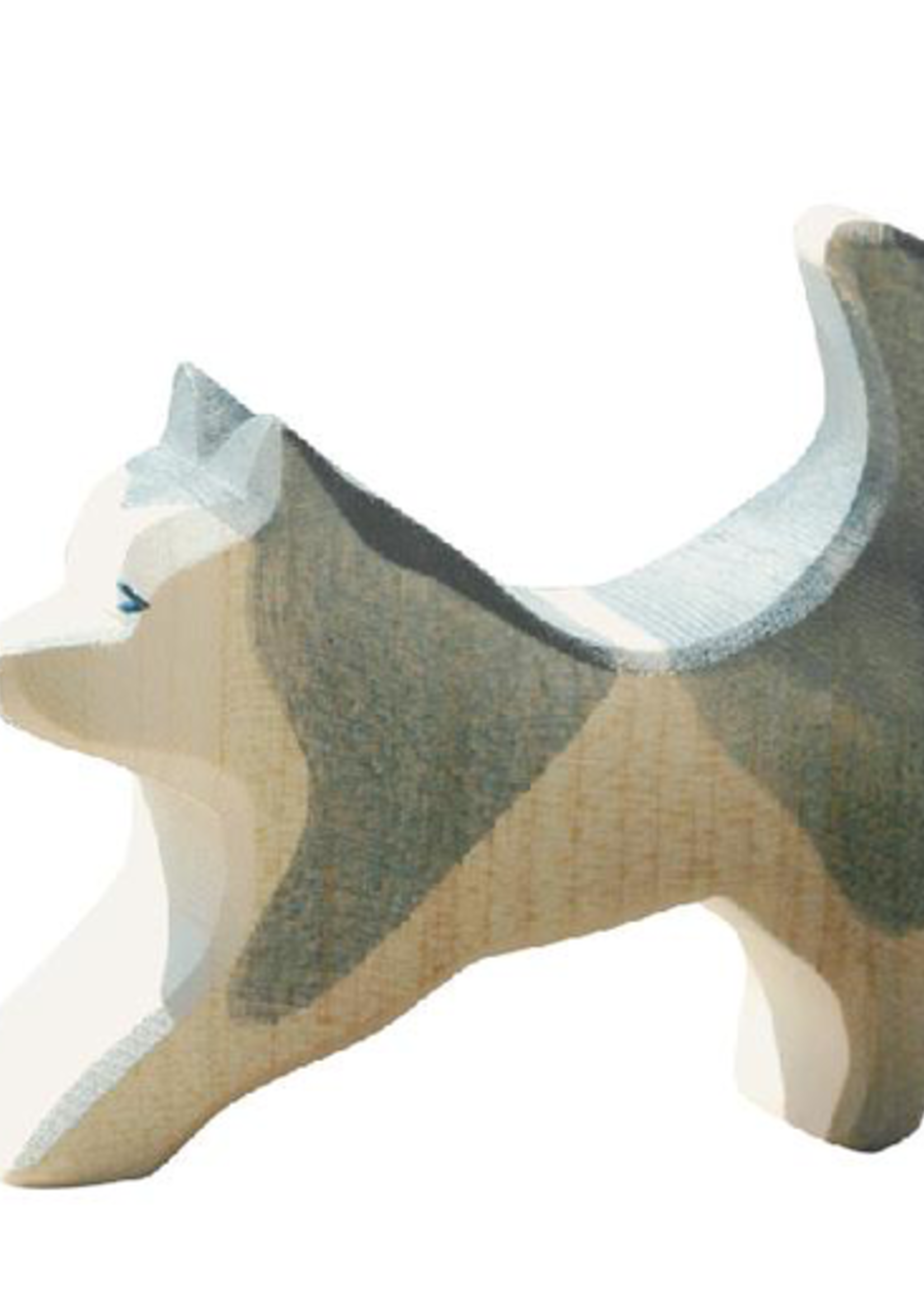 Ostheimer Dog - Sled Dog running