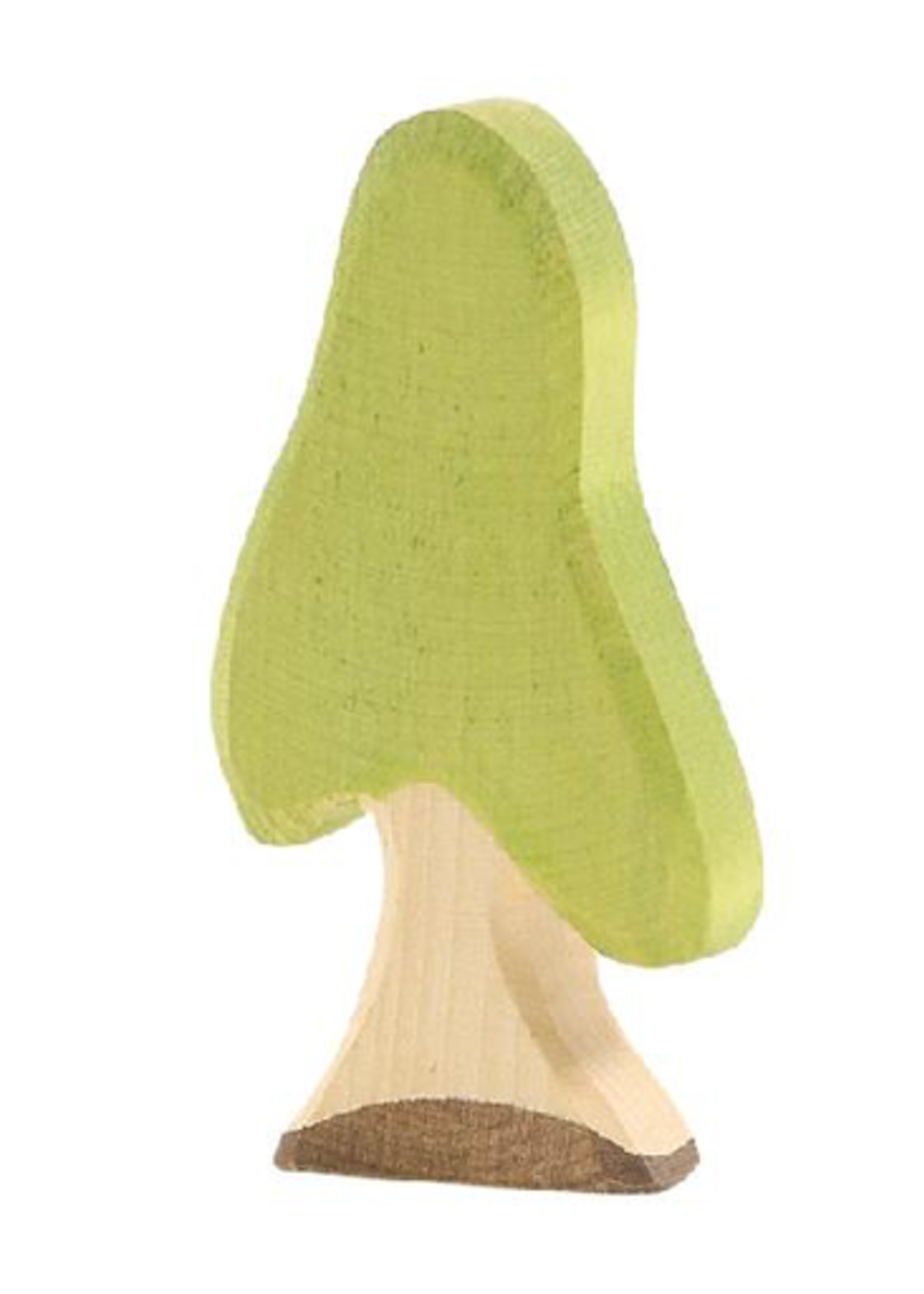 Ostheimer Birch