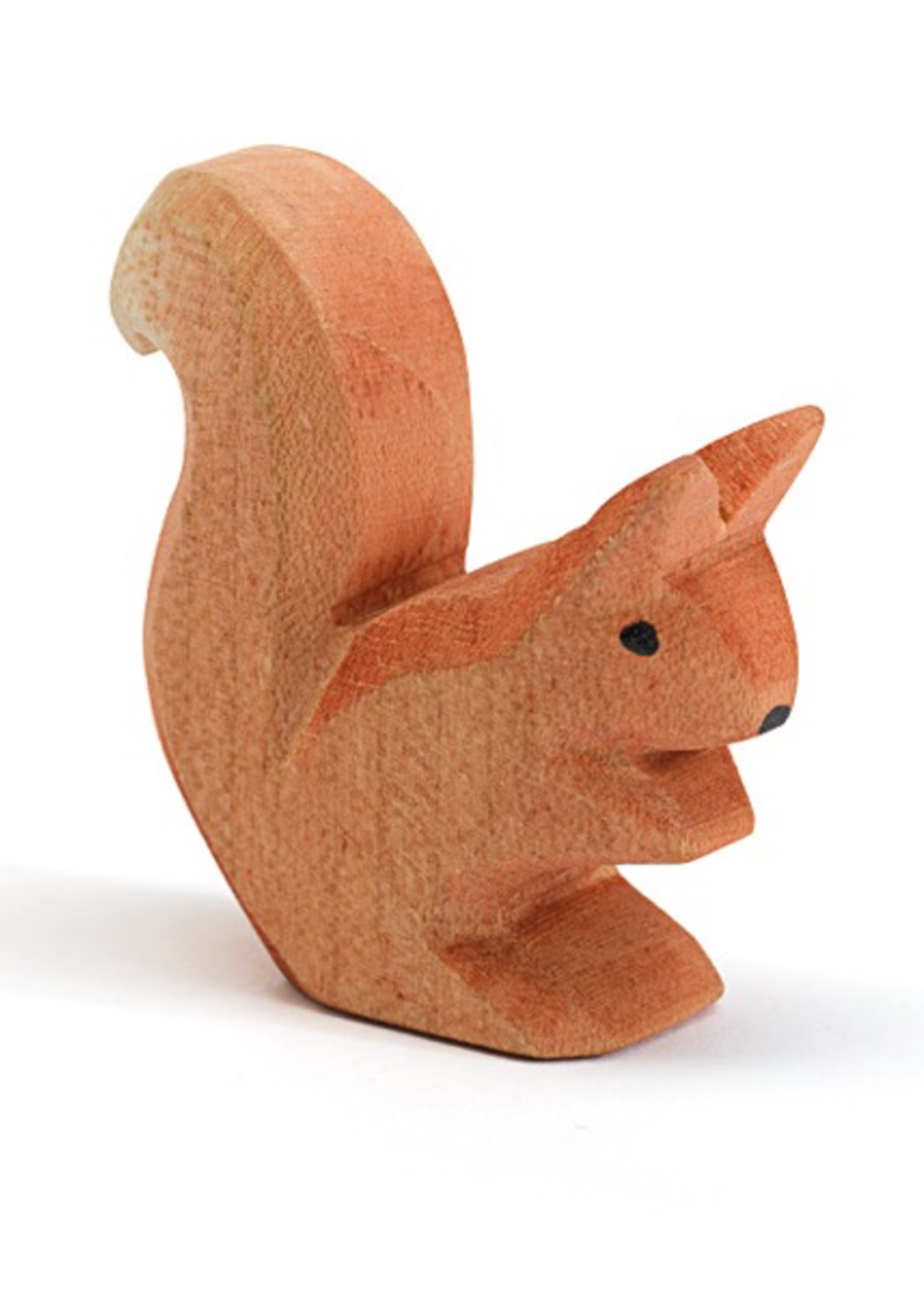 Ostheimer Squirrel sitting