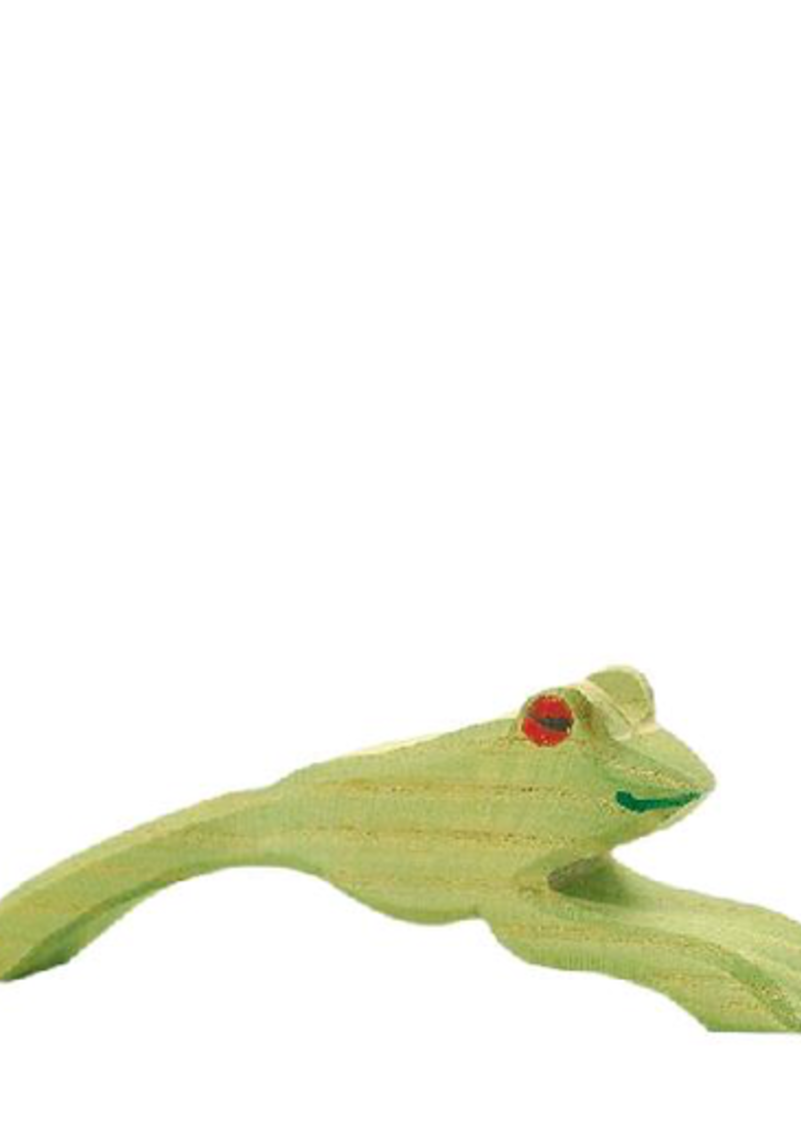 Ostheimer Frog jumping