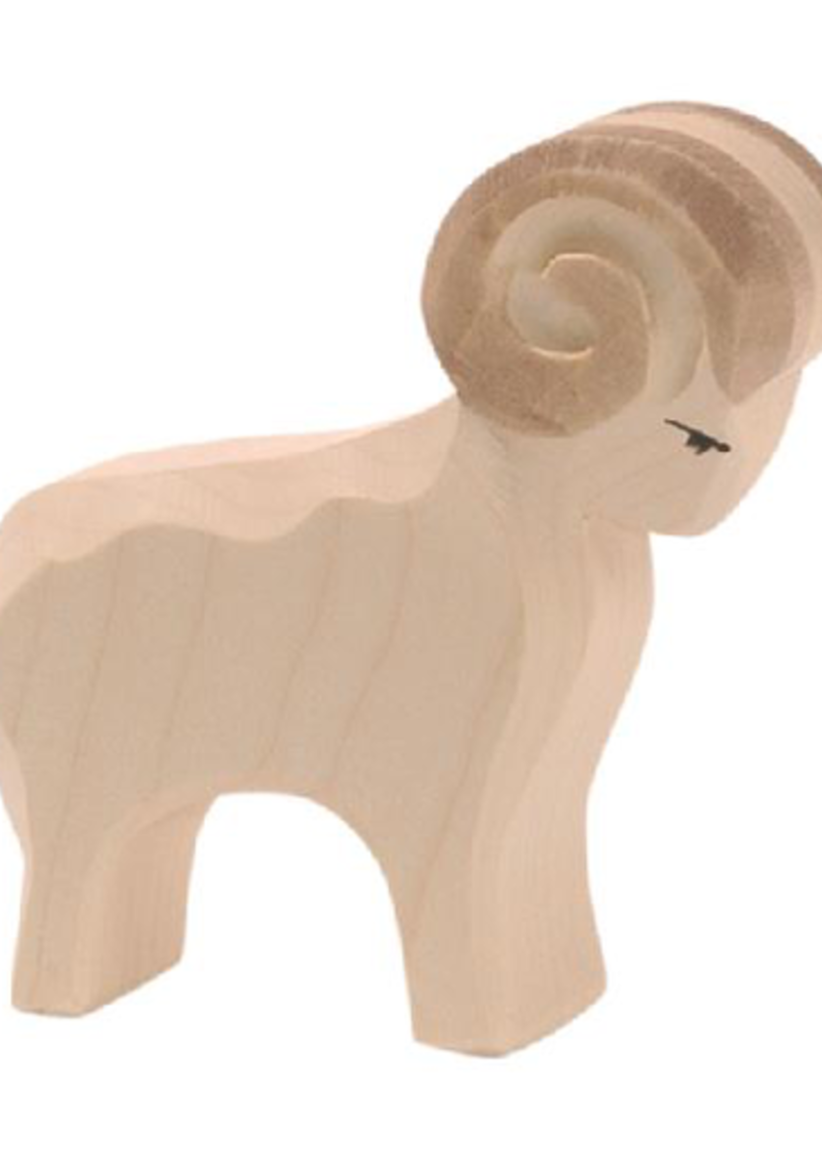 Ostheimer Sheep - Ram