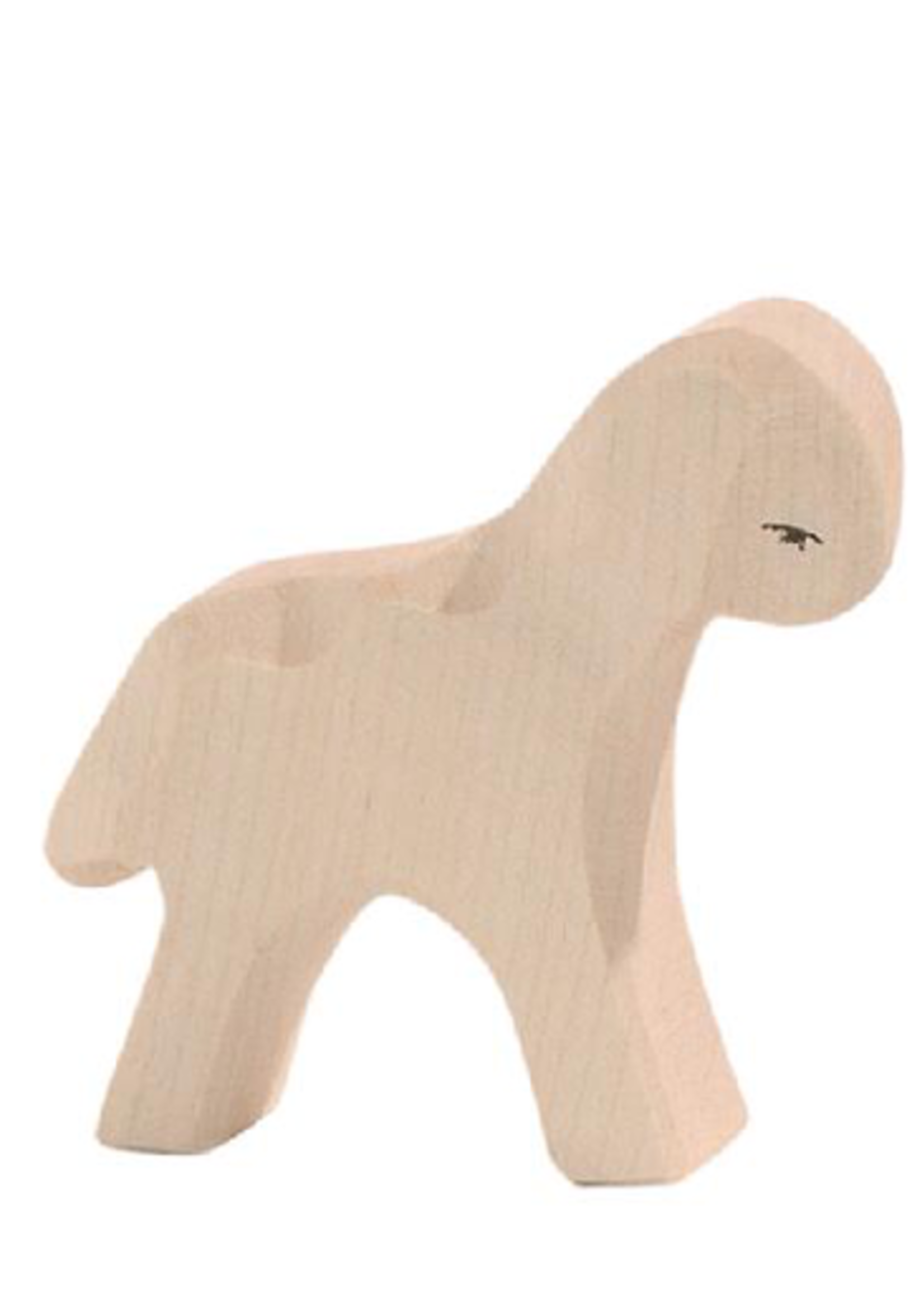Ostheimer Lamb standing