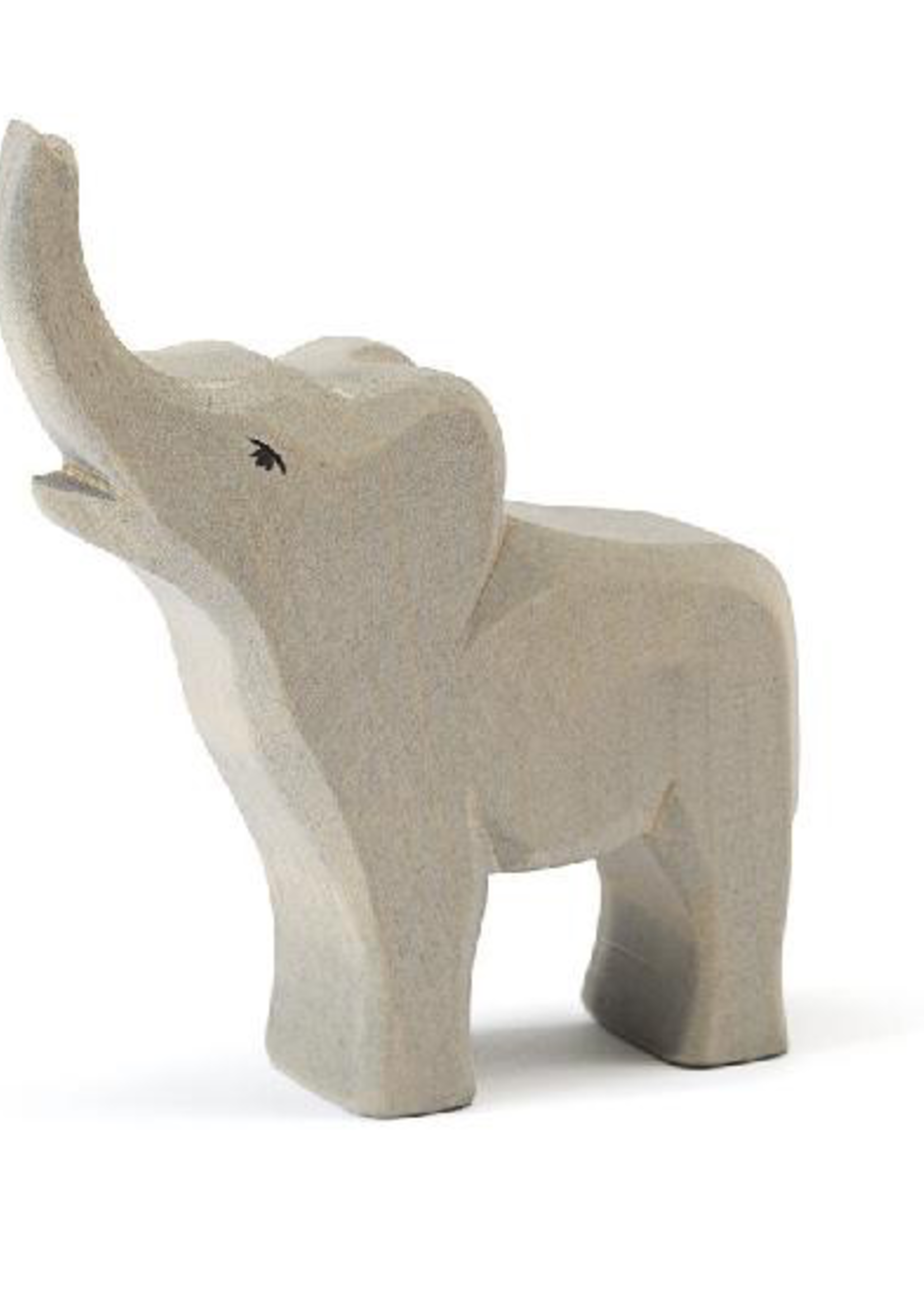 Ostheimer Elephant small trumpeting