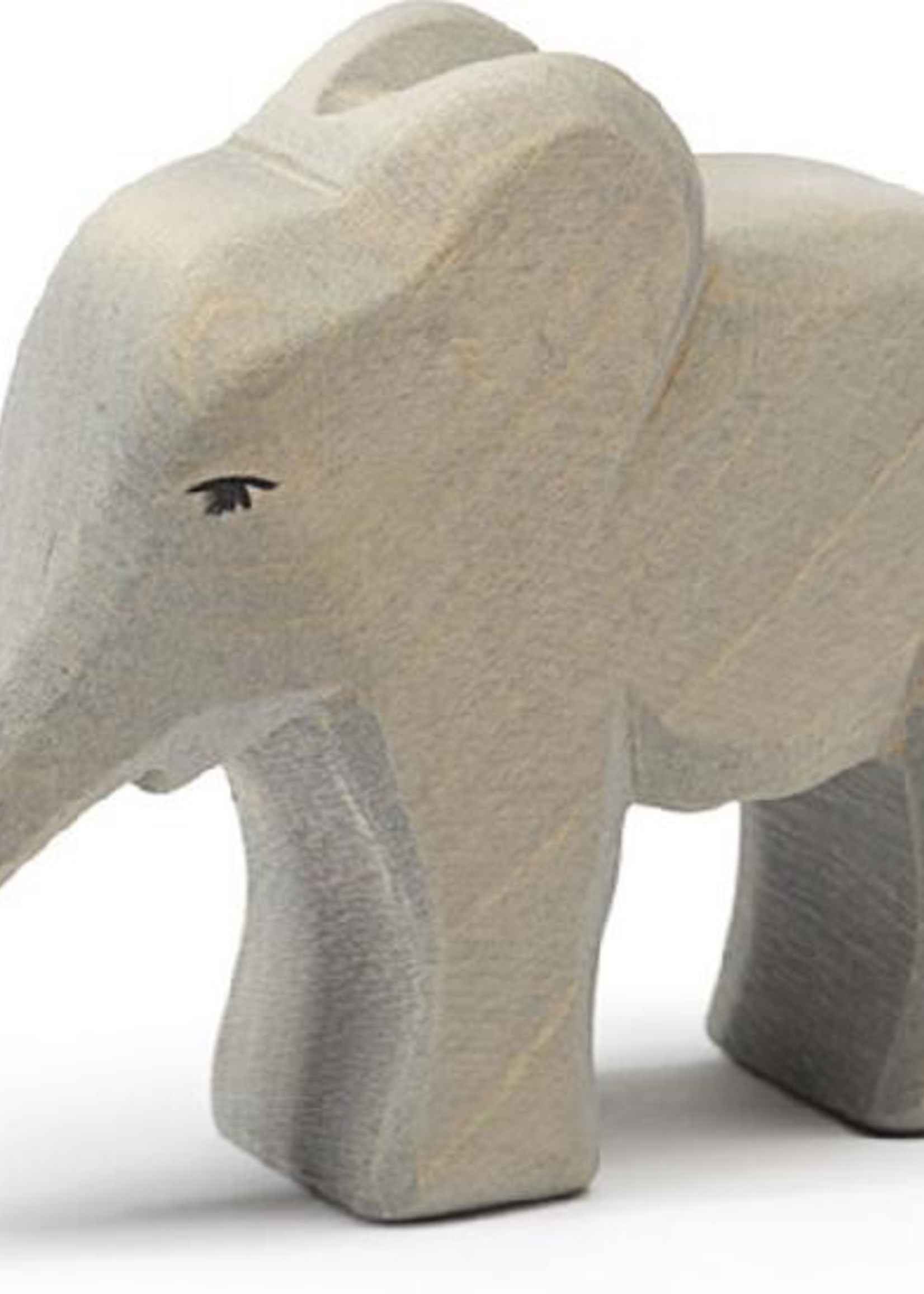 Ostheimer Elephant small trunk out