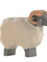 Ostheimer Sheep - Moorland Ram