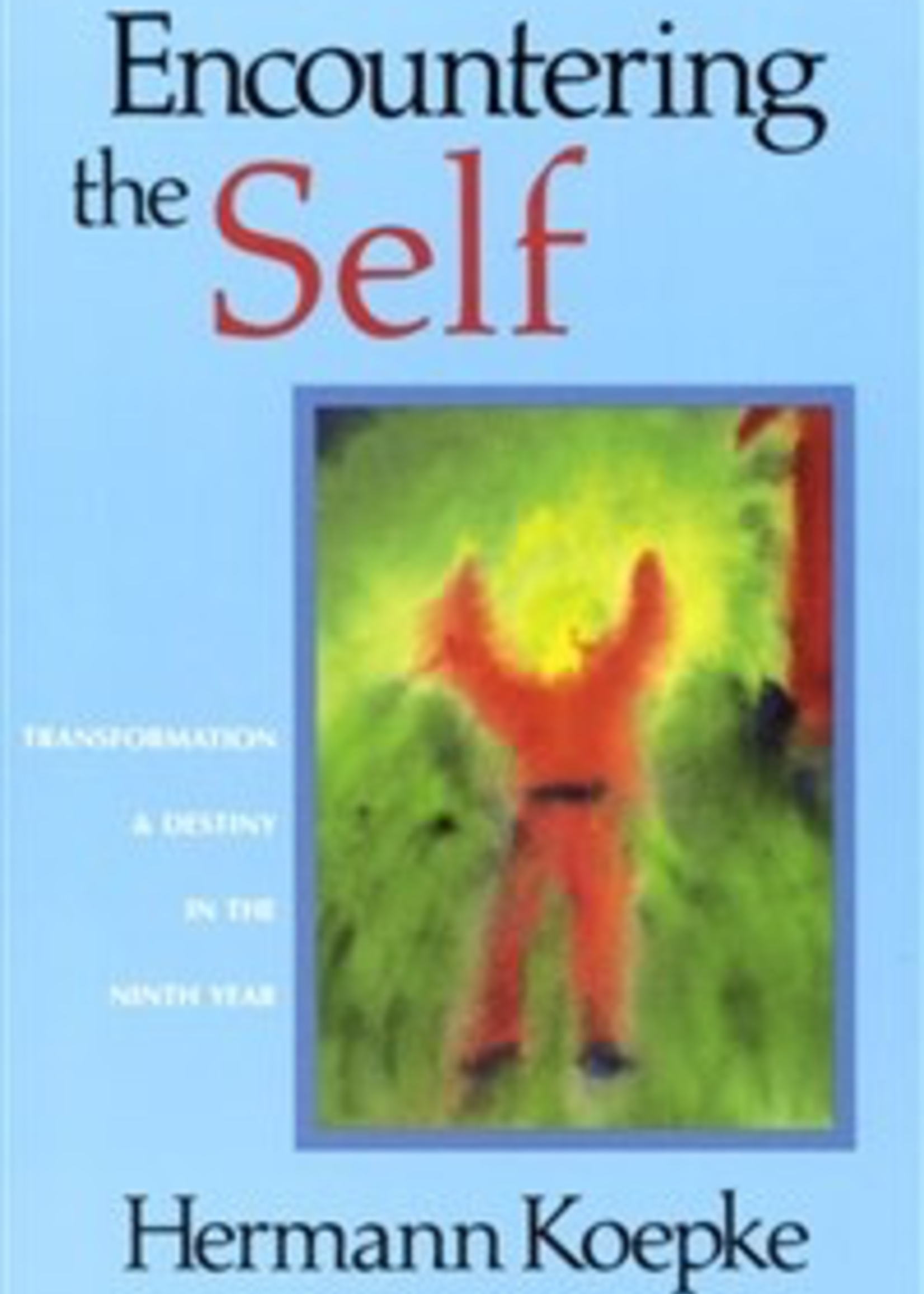 Steiner Books Encountering The Self: Transformation & Destiny In The Ninth Year