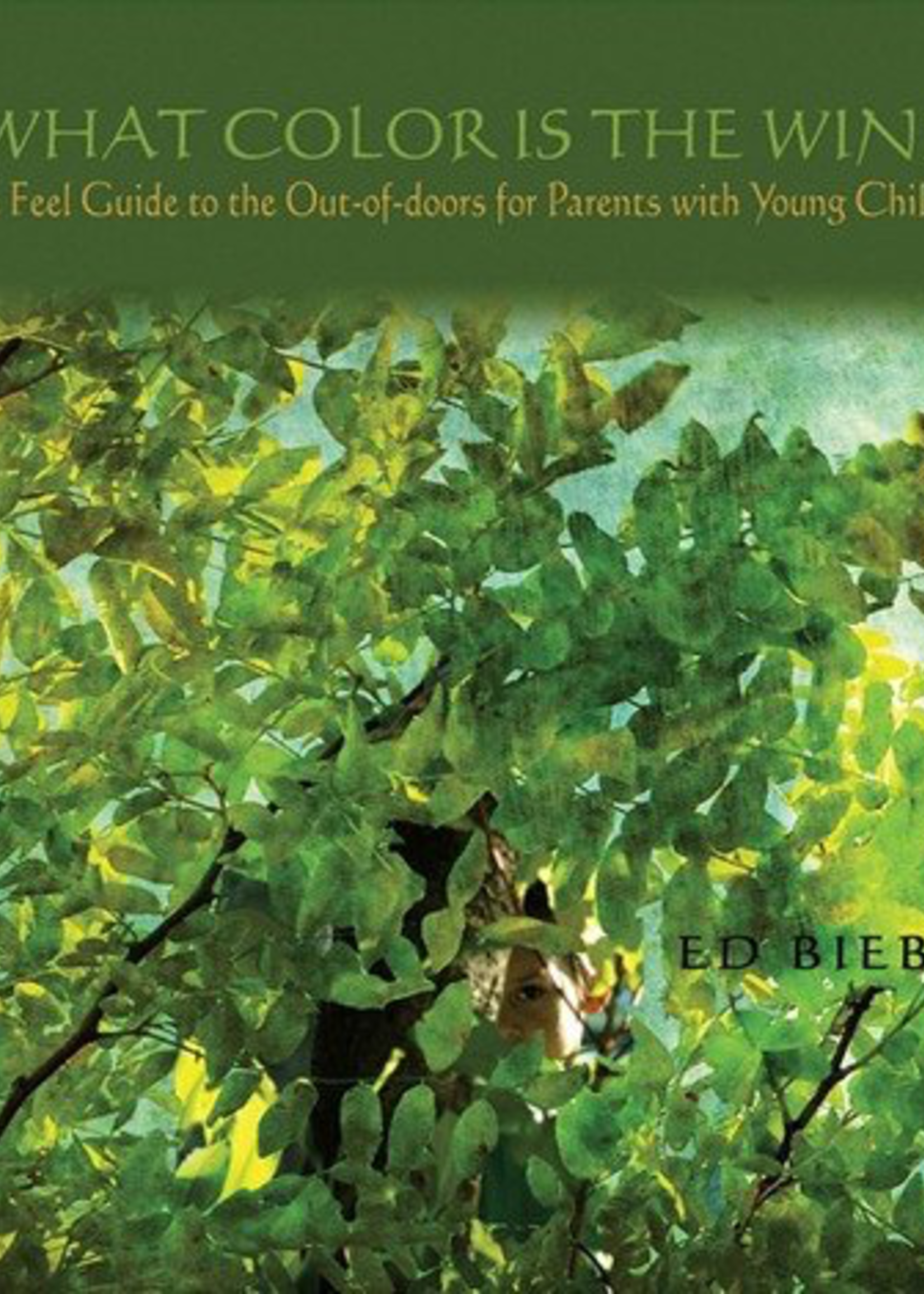 Independently Published What Color Is The Wind? - A FEEL Guide to the Out-of-doors for Parents with Young Children