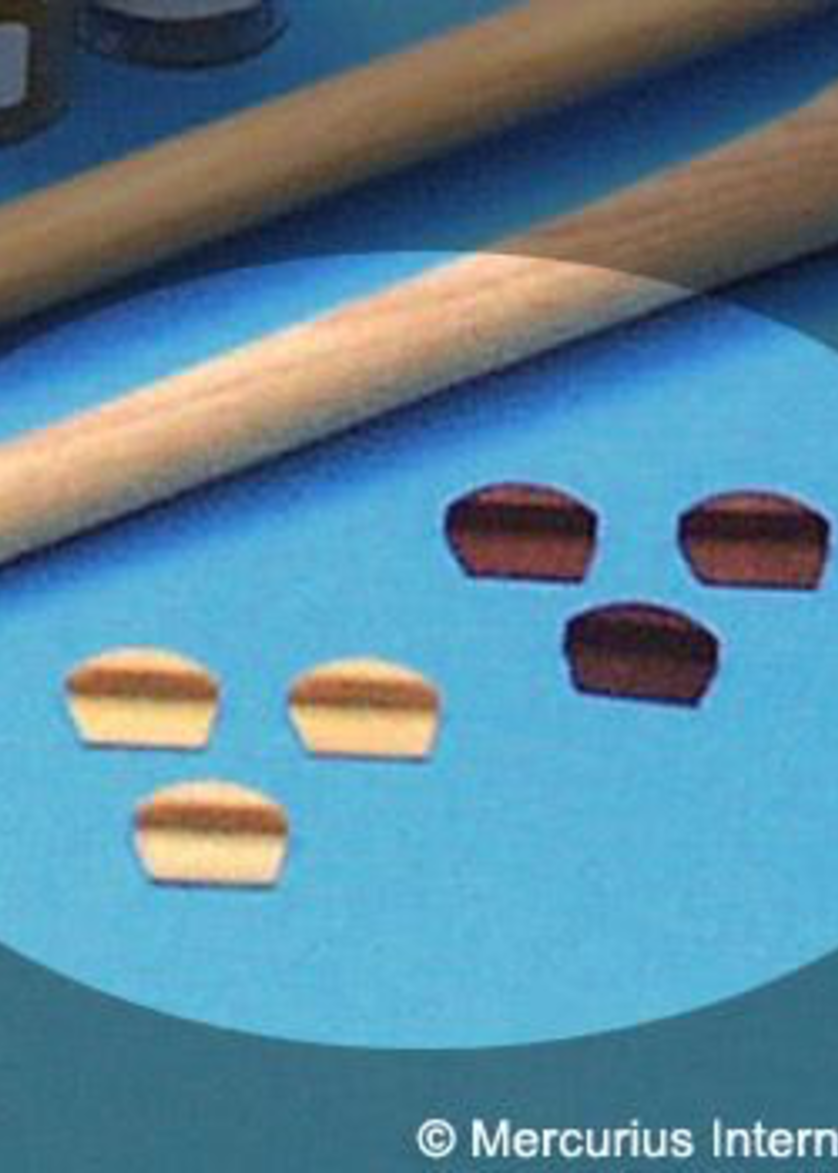Mercurius Tone block for pent flute