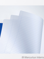 Mercurius Main Lesson Book 2xlined/blank - blue - lrg 8.25” x 9.25”  (21x30)