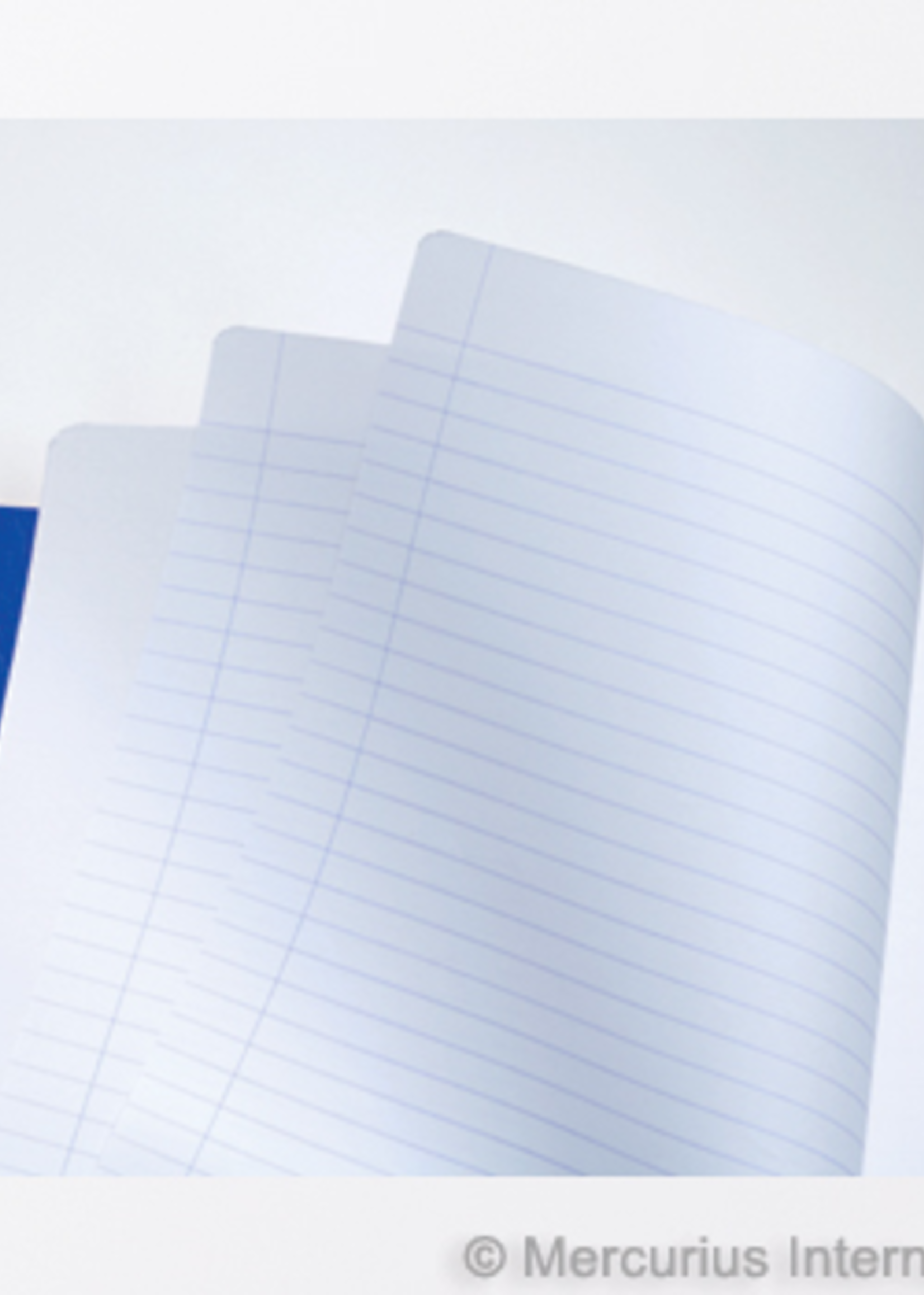 Mercurius Main Lesson Book 2xlined/blank - blue - lrg 8.25” x 9.25”  (21x30)