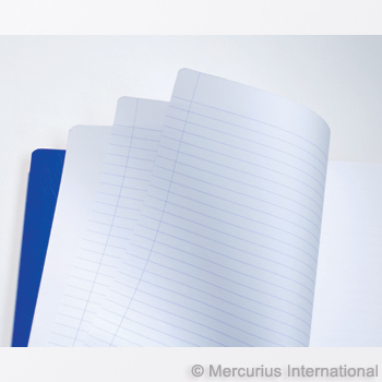 Mercurius Main Lesson Book 2xlined/blank - blue - lrg 8.25” x 9.25”  (21x30)