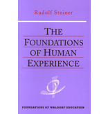 Steiner Books The Foundations Of Human Experience: (CW 293)