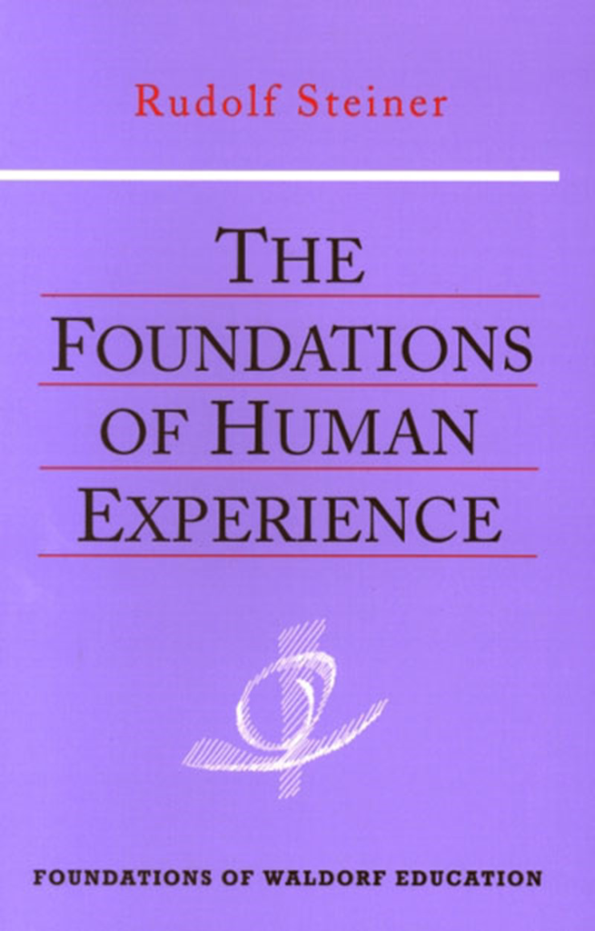 Steiner Books The Foundations Of Human Experience: (CW 293)