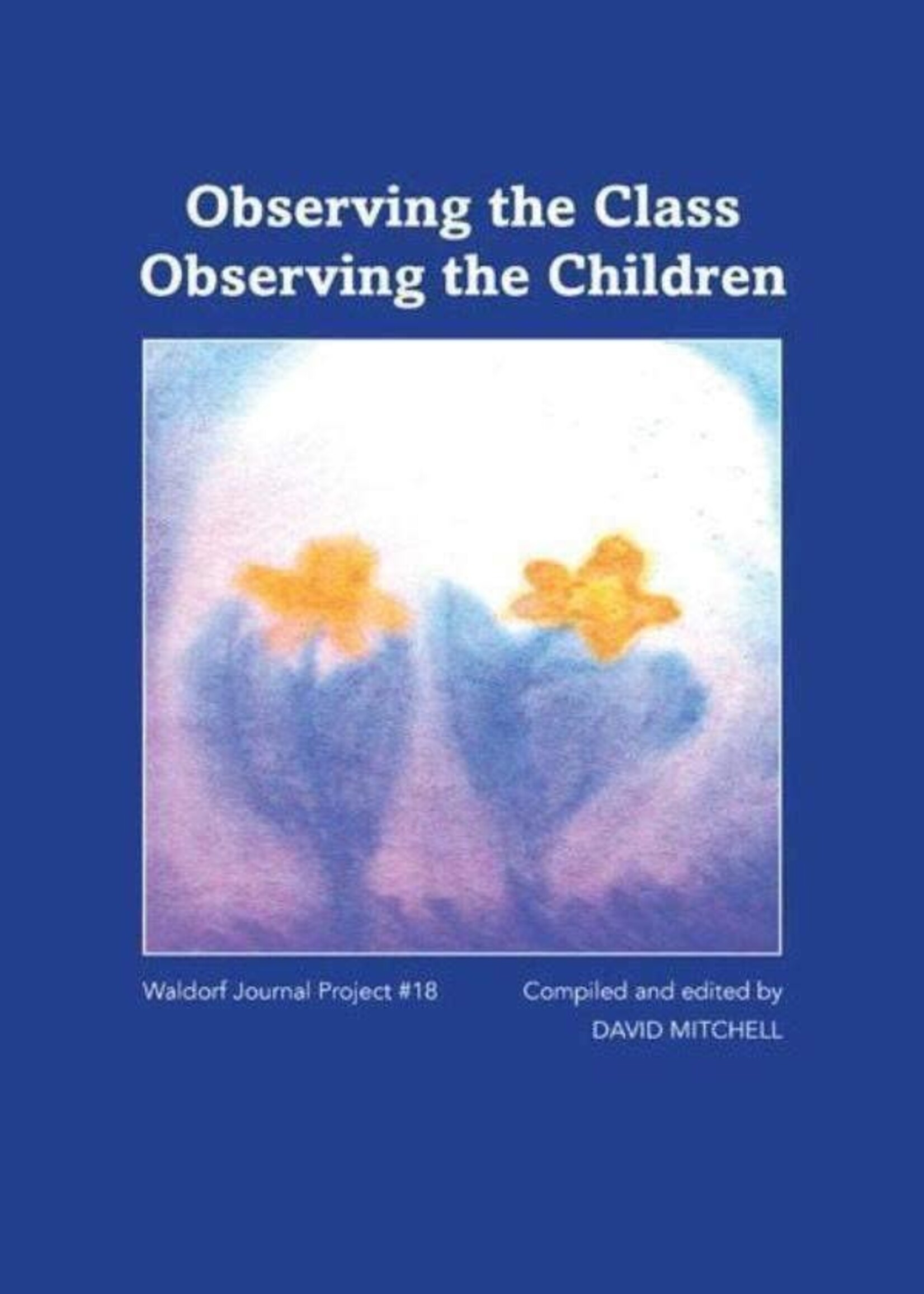 Waldorf Publications Observing the Class Observing the Children – Waldorf Journal #18