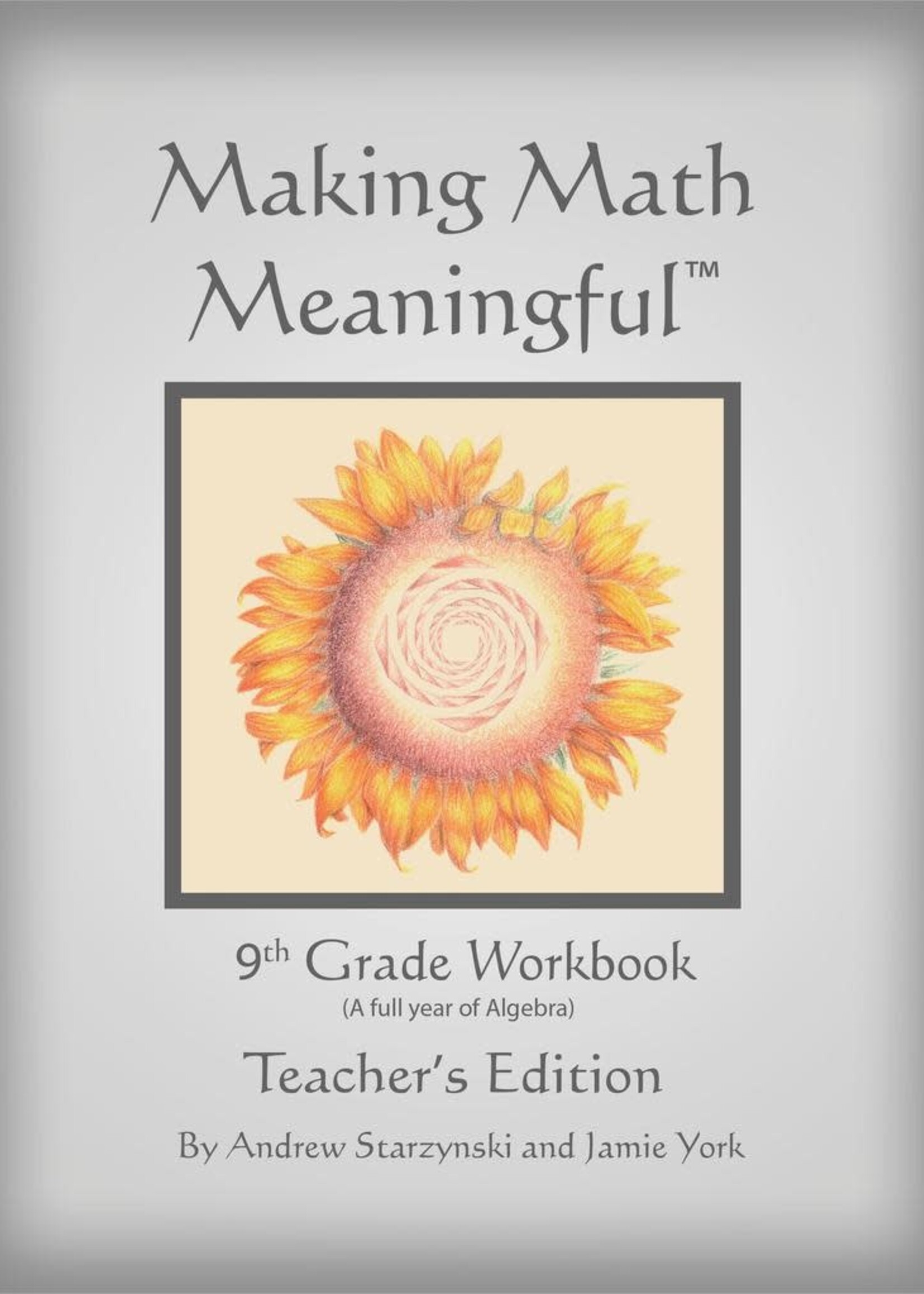 Jamie York Press Making Math Meaningful: A 9th Grade Workbook Teacher's Edition