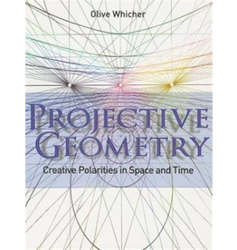 Rudolf Steiner Press Projective Geometry: Creative Polarities In Space And Time