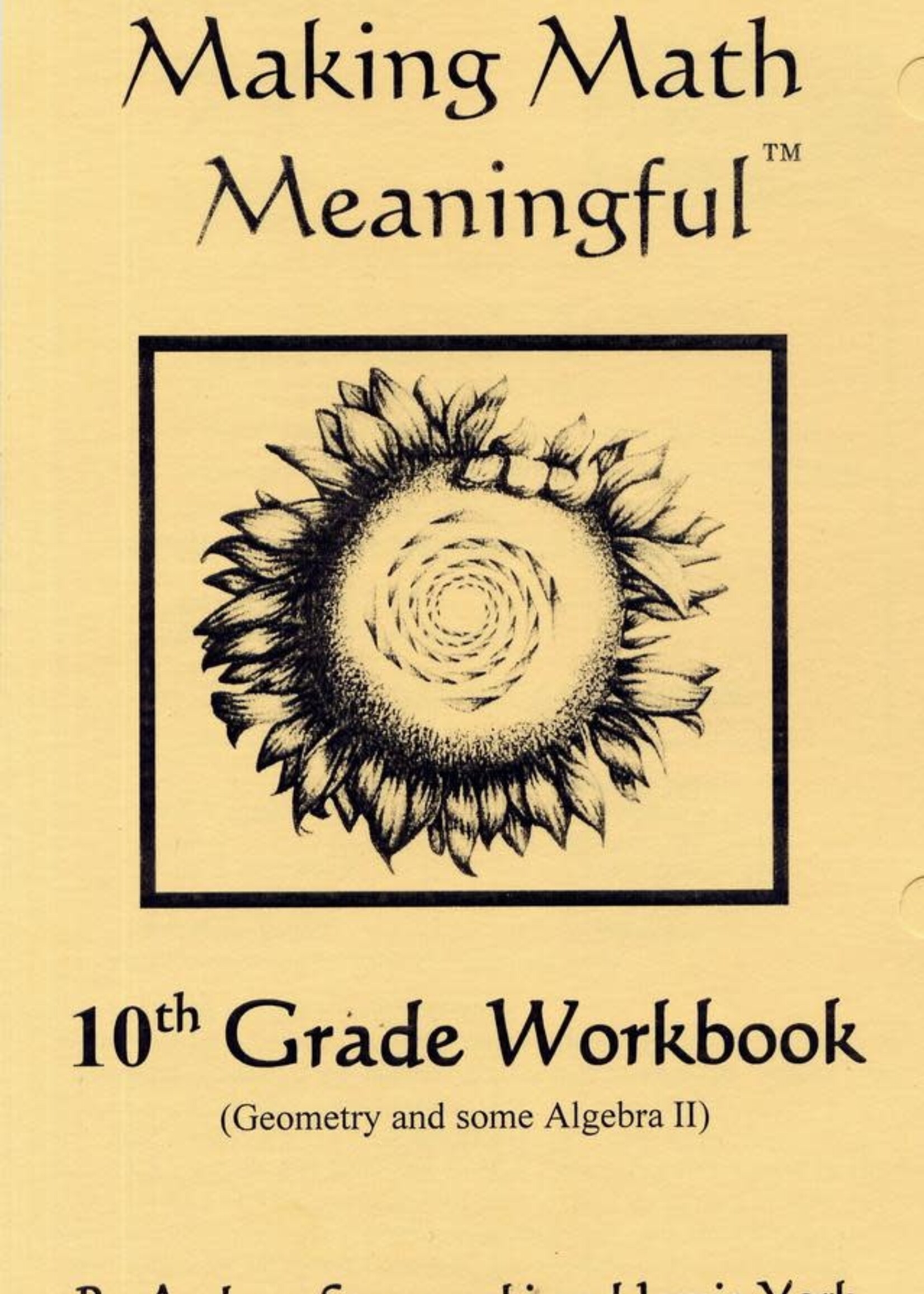 Jamie York Press Making Math Meaningful: A 10th Grade Student's Workbook