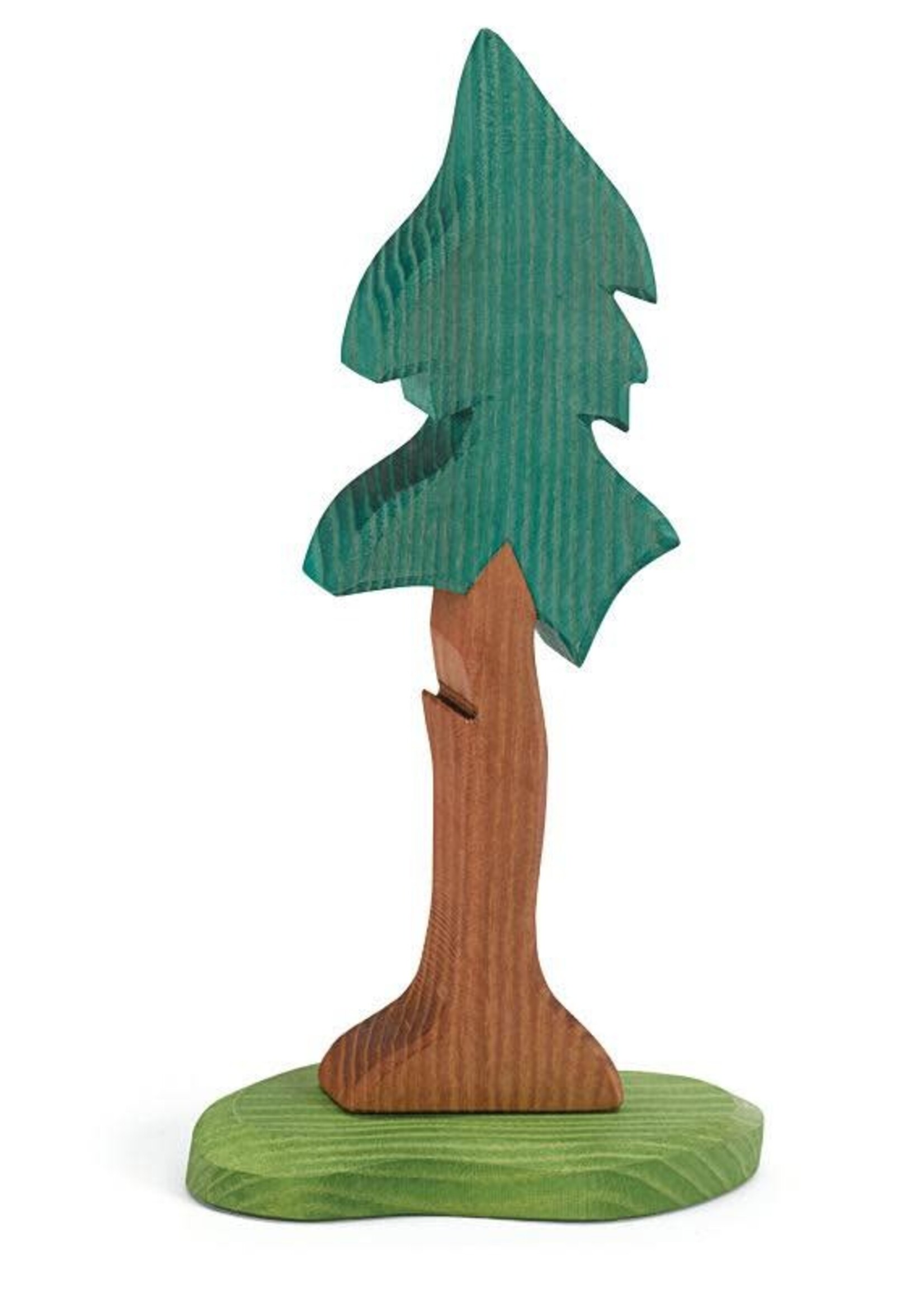 Ostheimer Spruce Tree tall with Trunk and Support