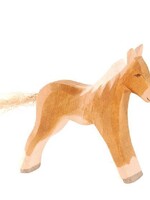 Ostheimer Haflinger Colt
