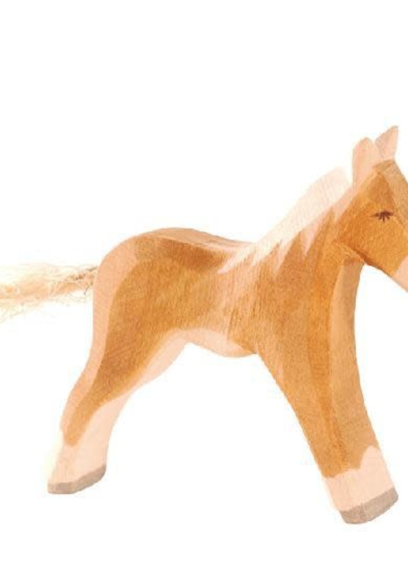 Ostheimer Haflinger Colt